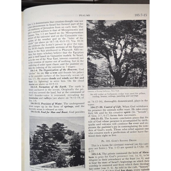 The Interpreters One-Volume Commentary on the Bible, Hardcover, 1971, 1371 pages - Picture 4 of 10